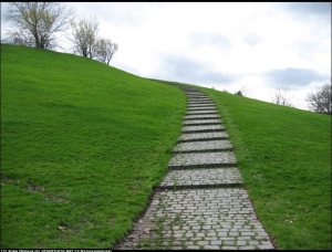 1530342_711753208865532_1286833360_n